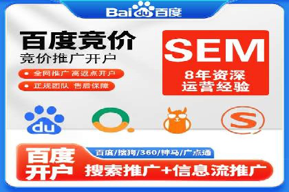 某企业通过SEM实现品牌与销售双增长的案例